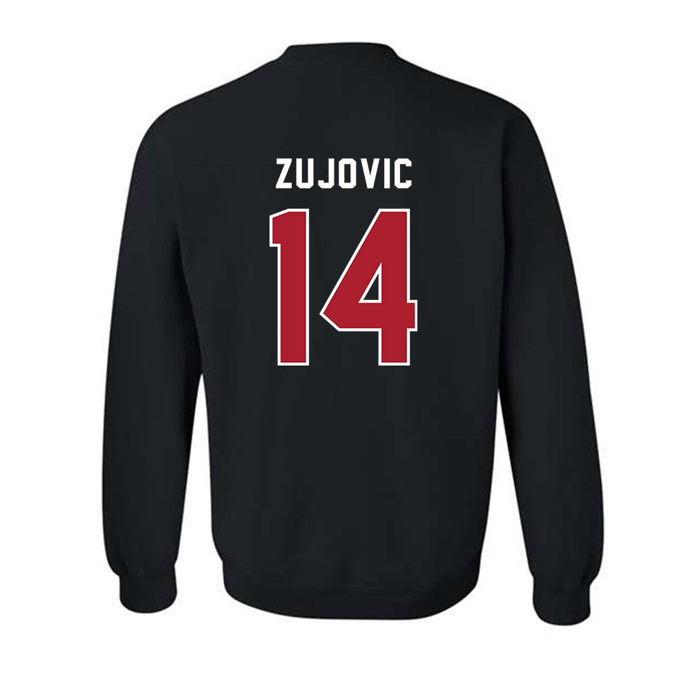 Barry - NCAA Women's Volleyball : Ivana Zujovic - Classic Shersey Crewneck Sweatshirt-1