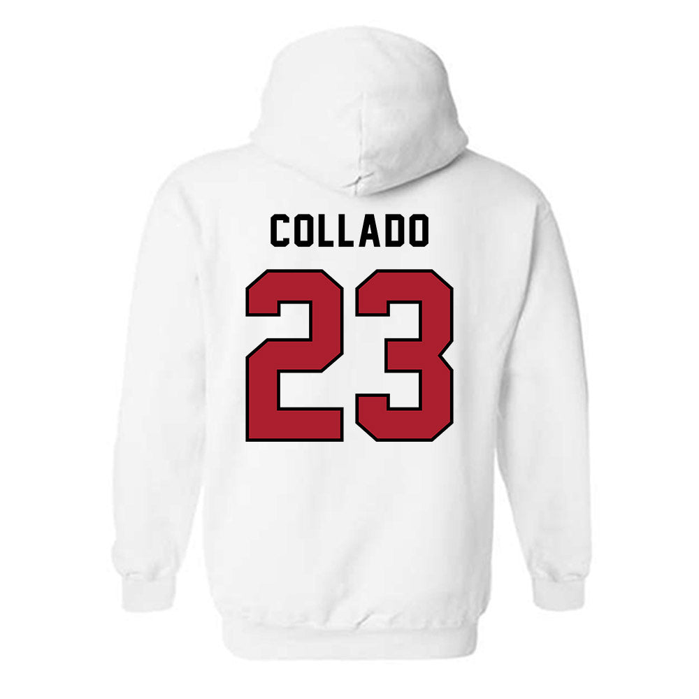 Barry - NCAA Softball : Kamerin Collado - Classic Shersey Hooded Sweatshirt-1