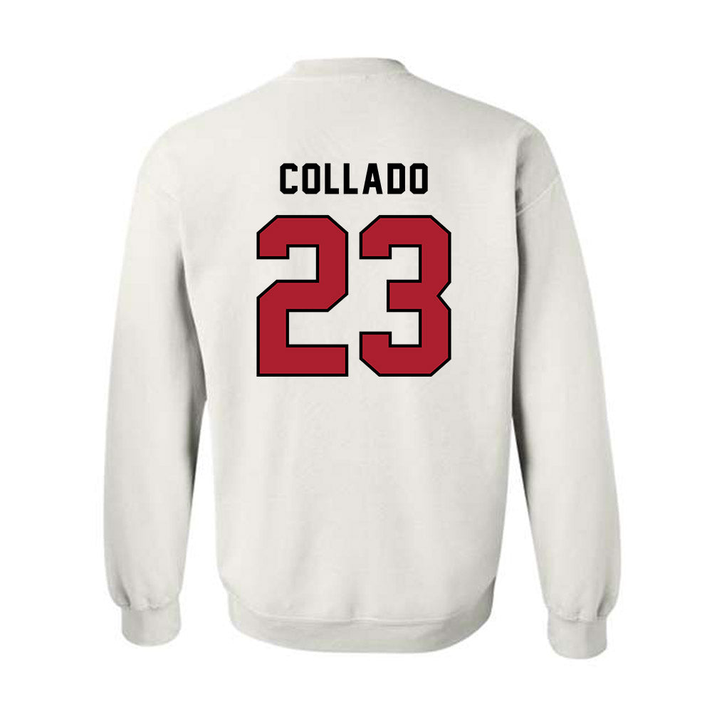 Barry - NCAA Softball : Kamerin Collado - Classic Shersey Crewneck Sweatshirt-1