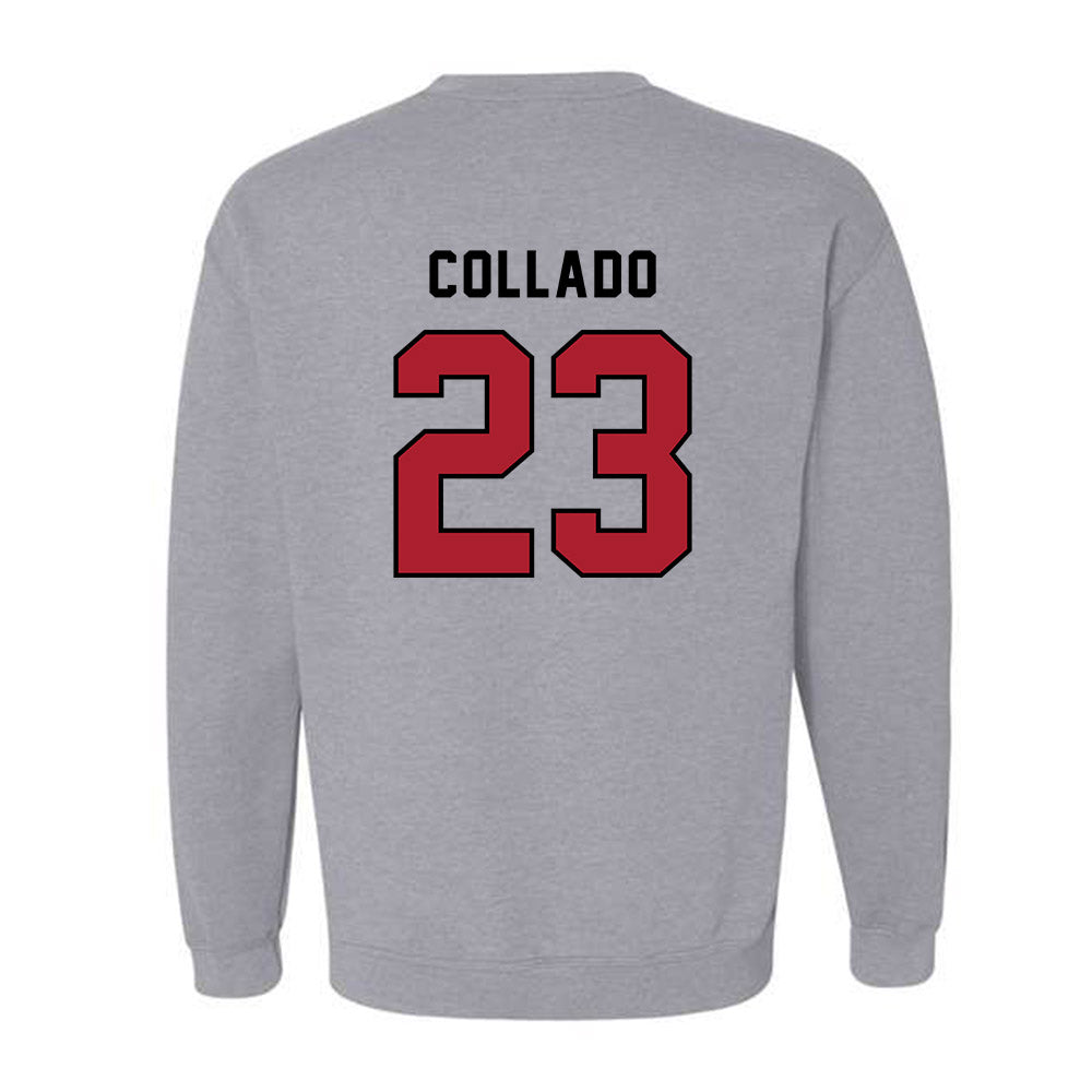 Barry - NCAA Softball : Kamerin Collado - Classic Shersey Crewneck Sweatshirt-1