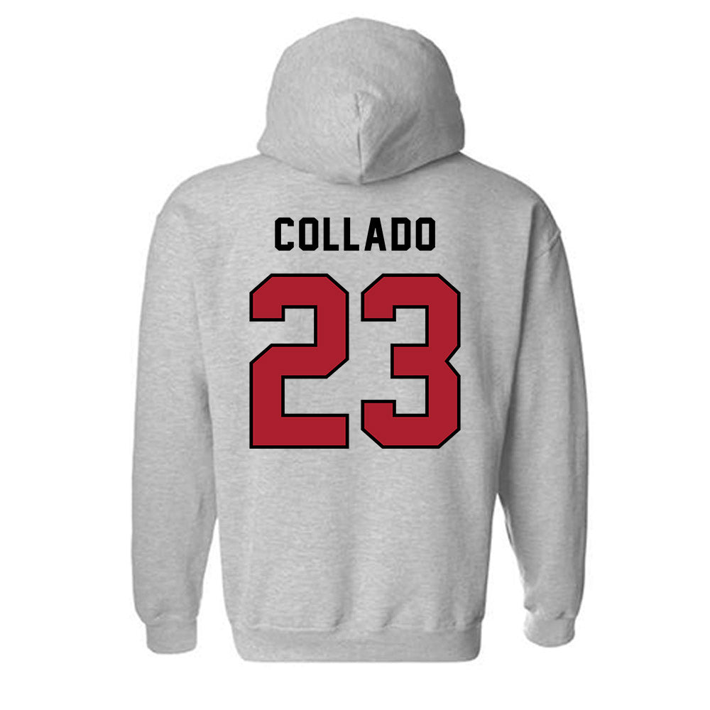 Barry - NCAA Softball : Kamerin Collado - Classic Shersey Hooded Sweatshirt-1