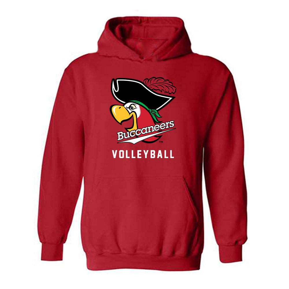 Barry - NCAA Women's Volleyball : Sarah Willey - Classic Shersey Hooded Sweatshirt-0