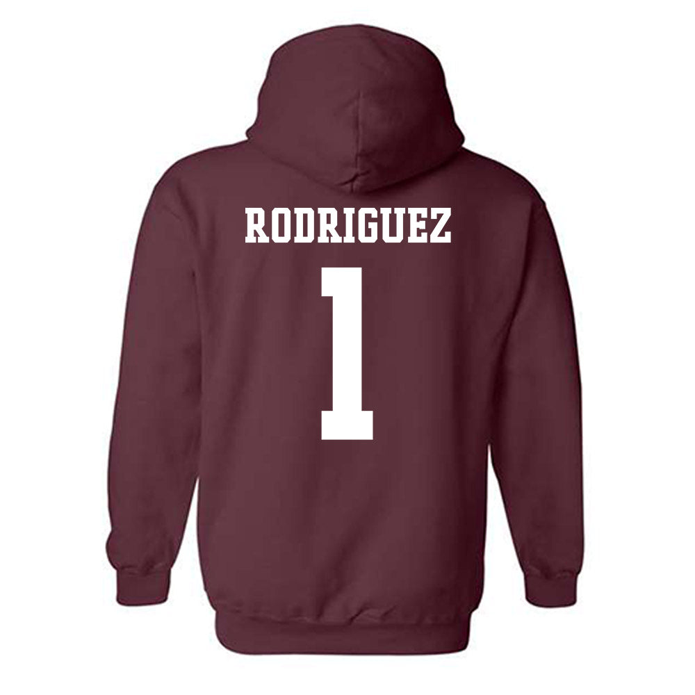Texas A&M - NCAA Women's Volleyball : Gabi Rodriguez - Sports Shersey Hooded Sweatshirt-1