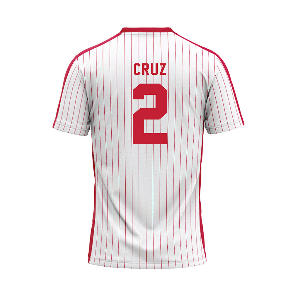 Miami of Ohio - NCAA Baseball : Diego Cruz - Pinstripe Baseball Jersey-1