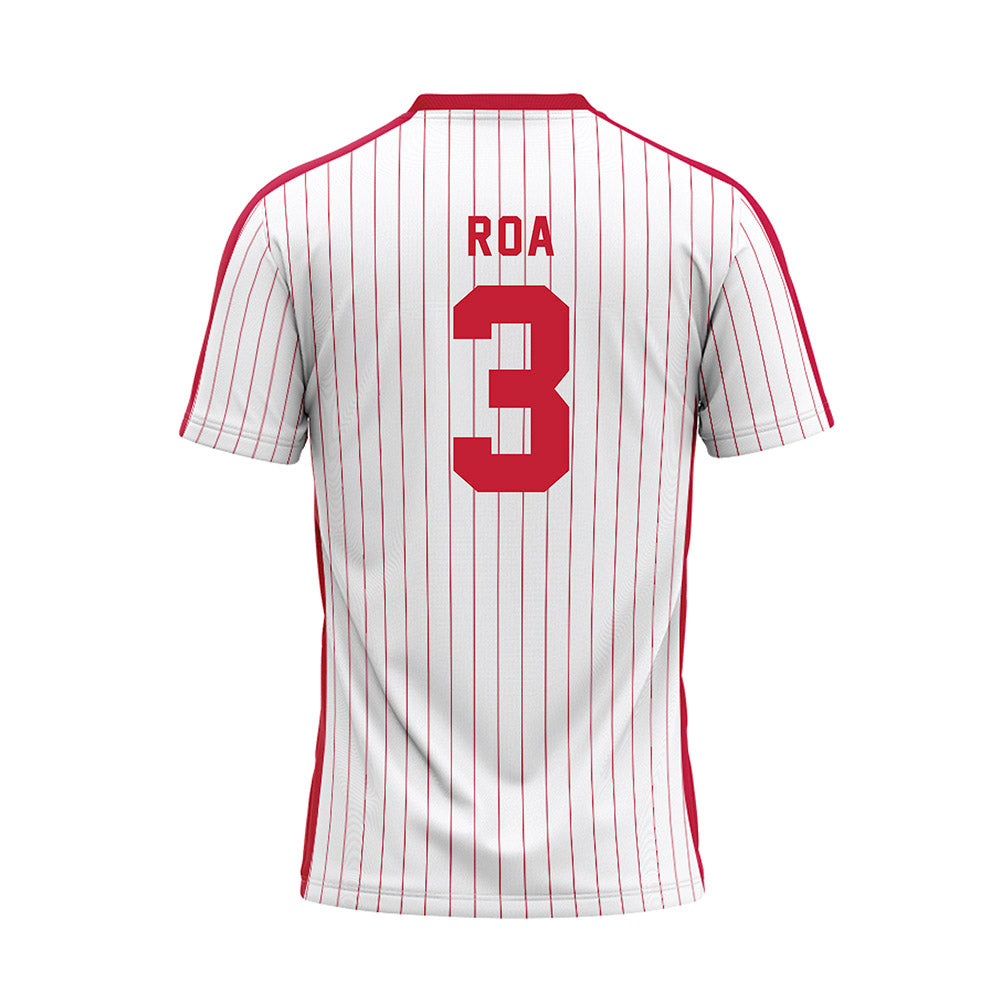 Miami of Ohio - NCAA Baseball : Christopher Roa - Pinstripe Jersey-1