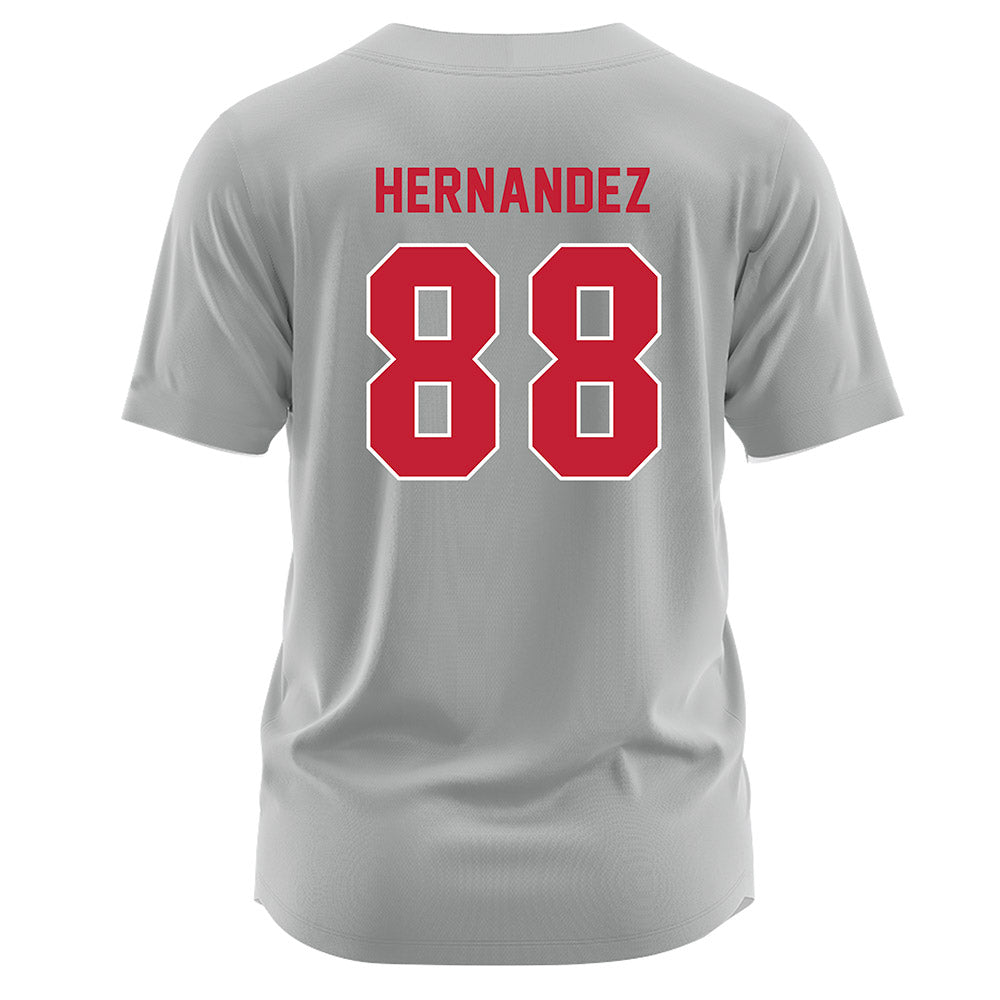 Miami of Ohio - NCAA Softball : Danitza Hernandez - Grey Jersey-1