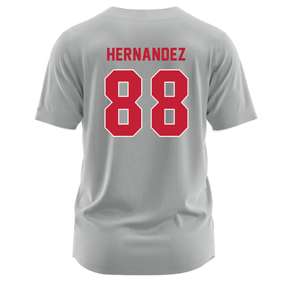 Miami of Ohio - NCAA Softball : Danitza Hernandez - Grey Jersey-1