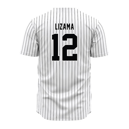 South Carolina - NCAA Baseball : Ethan Lizama - Pinstripe Jersey-1