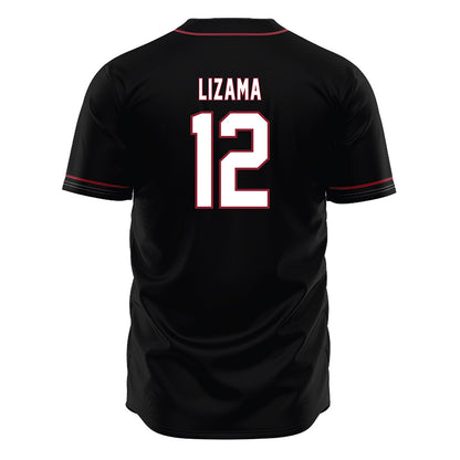 South Carolina - NCAA Baseball : Ethan Lizama - Black Jersey-1