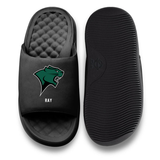 Chicago State - NCAA Men's Basketball : Cj Ray - ISlide-0