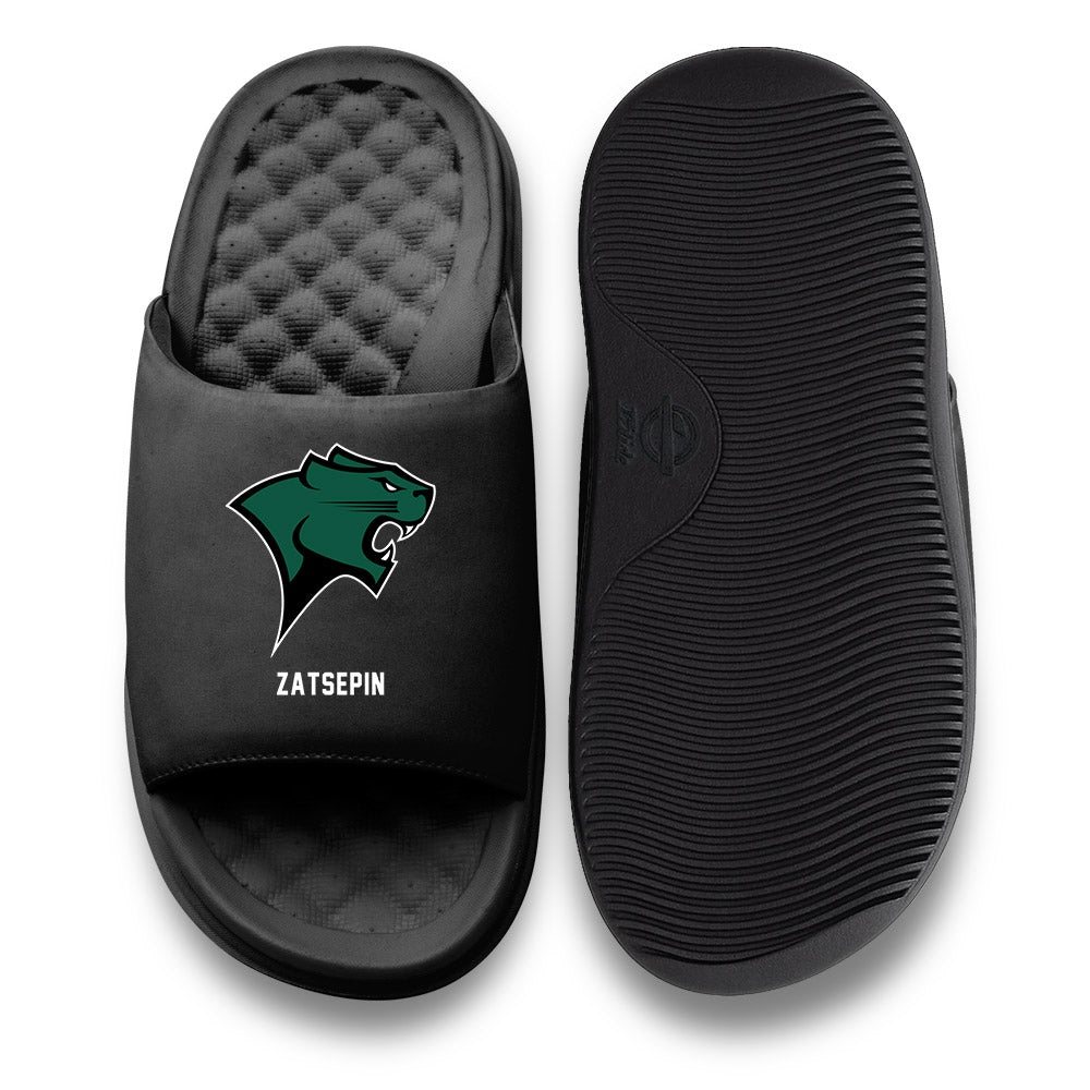 Chicago State - NCAA Men's Basketball : Daniel Zatsepin - ISlide-0