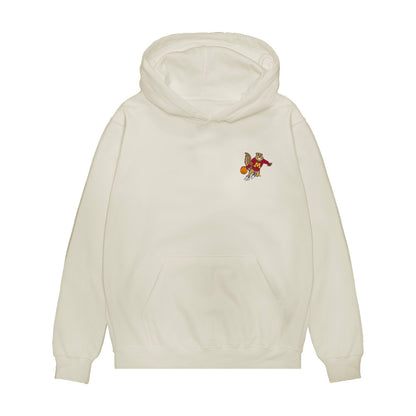 Minnesota - NCAA Men's Basketball : Cade Tyson - Collage Premium Hooded Sweatshirt-0