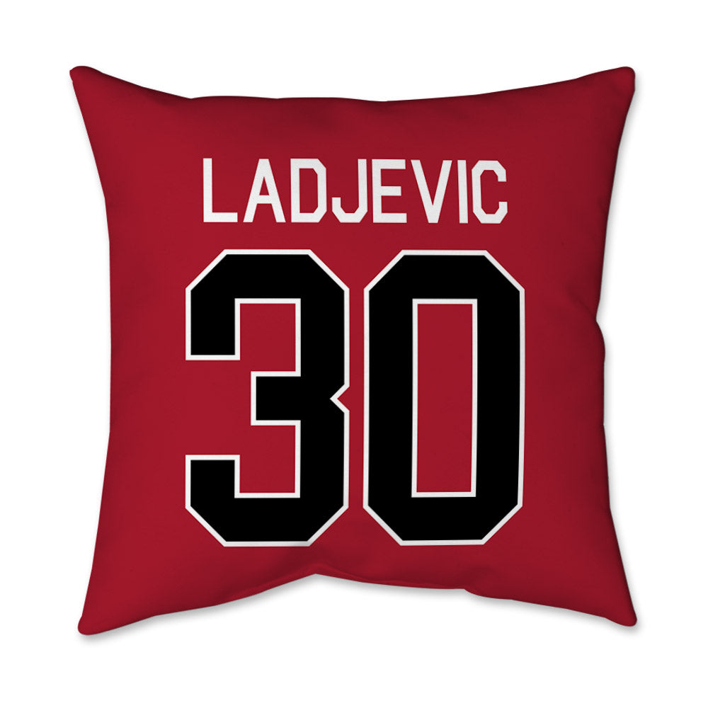 SDSU - NCAA Baseball : David Ladjevic - Pillow 16x16-1