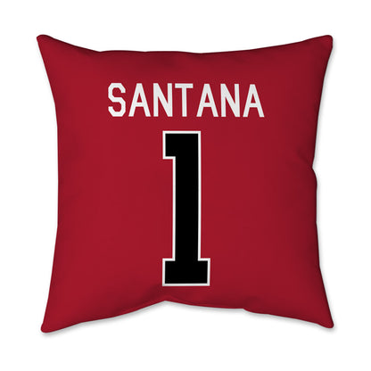 SDSU - NCAA Baseball : Dawson Santana - Pillow 16x16-1