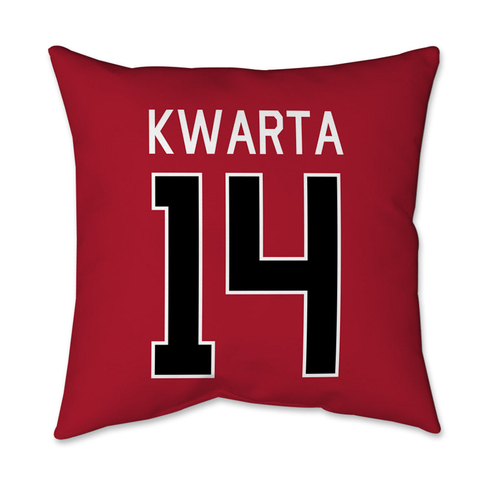 SDSU - NCAA Softball : Mattison Kwarta - Pillow 16x16-1