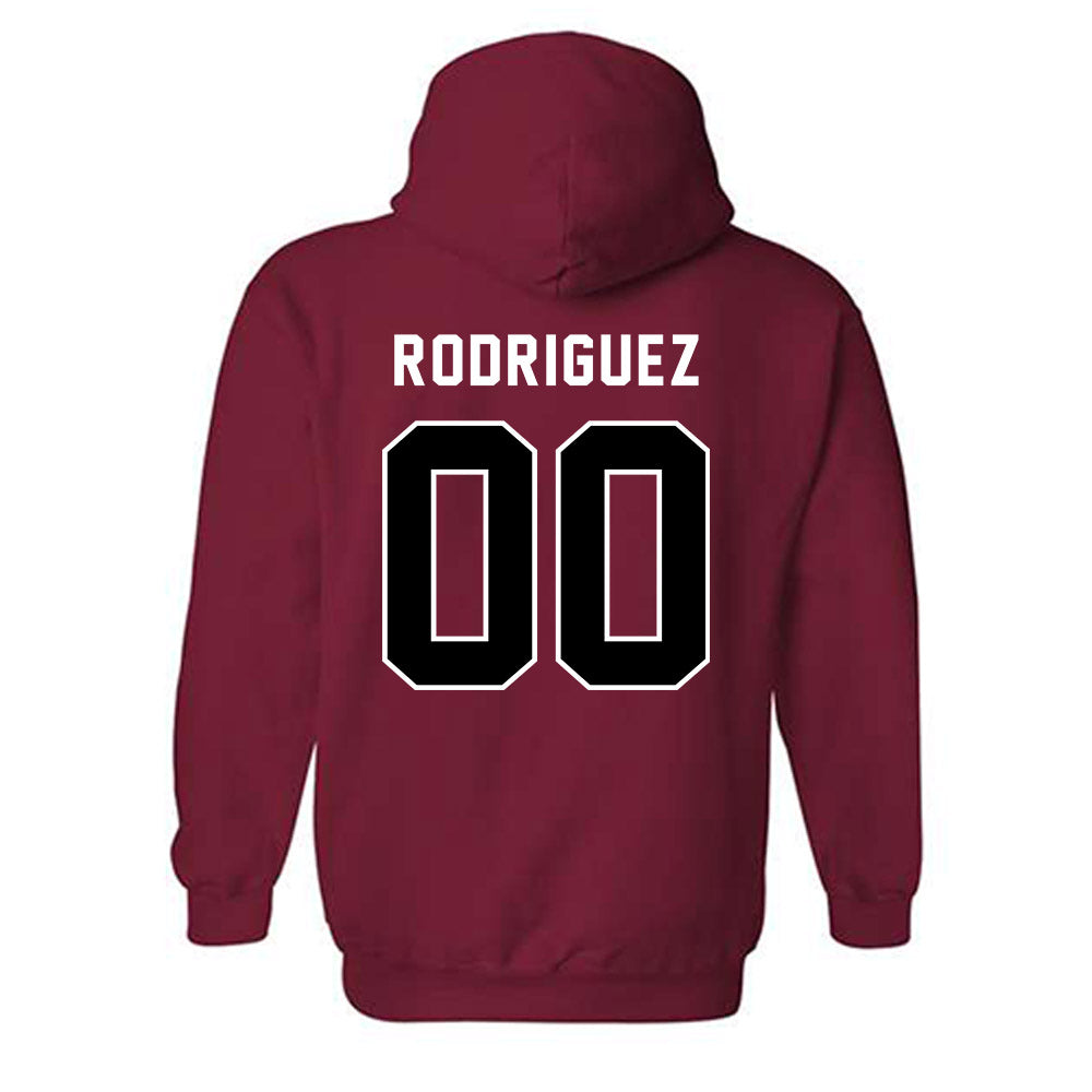 SDSU - NCAA Softball : Mia Rodriguez - Classic Shersey Hooded Sweatshirt-1