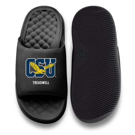Coppin State - NCAA Baseball : Jordan Treadwell - ISlide-0