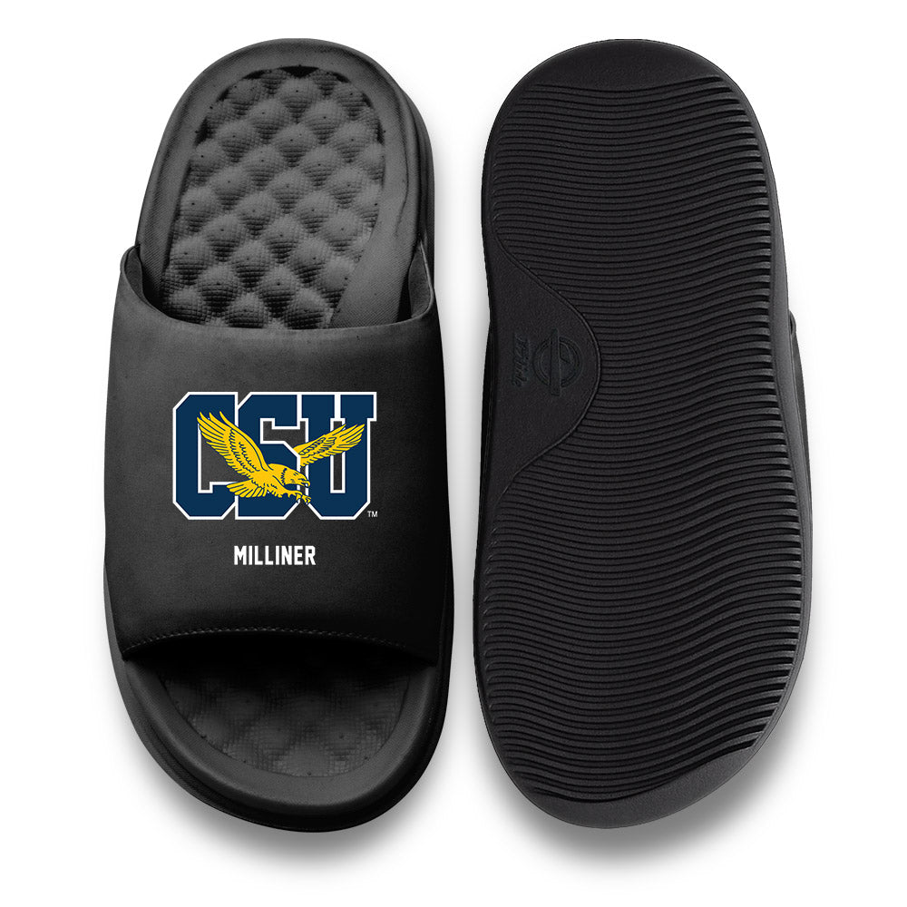 Coppin State - NCAA Baseball : Terrell Milliner - ISlide-0