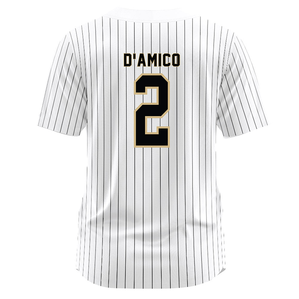 Wake Forest - NCAA Baseball : Logan D'Amico - White Jersey-1