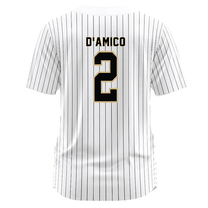 Wake Forest - NCAA Baseball : Logan D'Amico - White Jersey-1