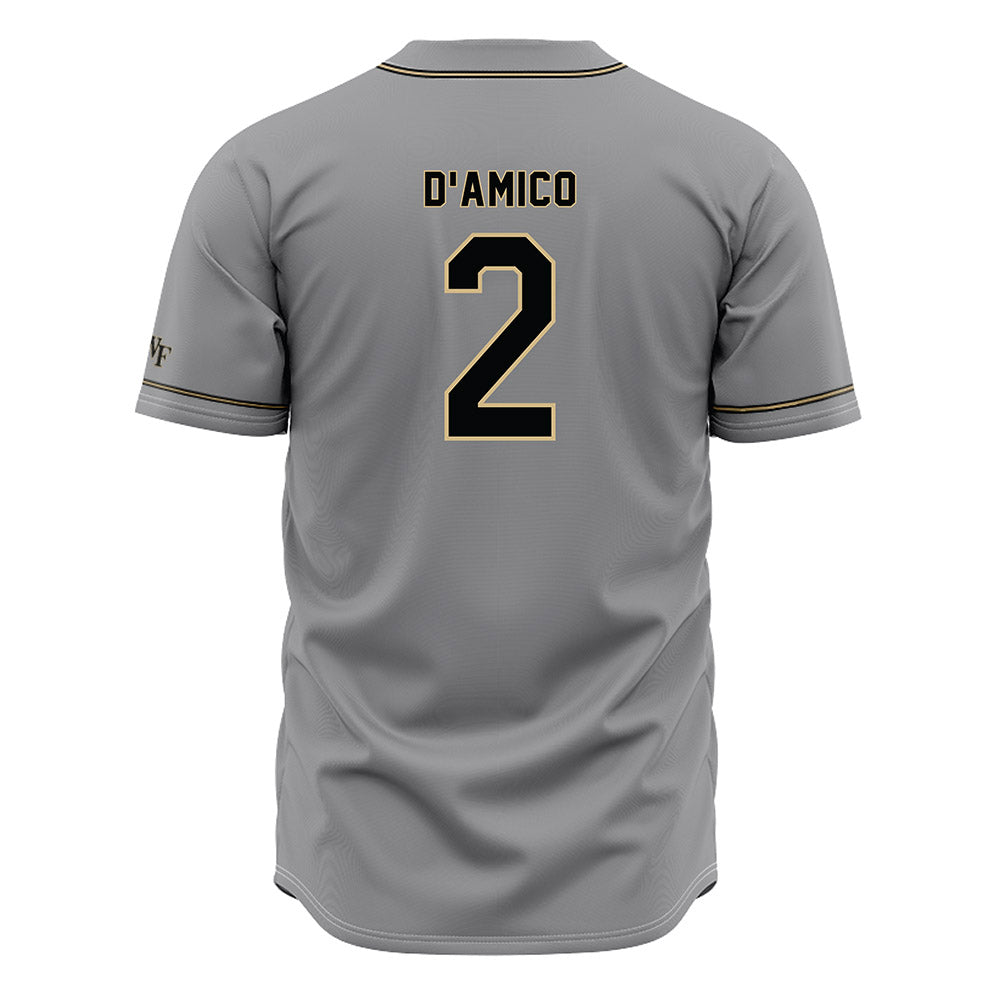 Wake Forest - NCAA Baseball : Logan D'Amico - Grey Jersey-1
