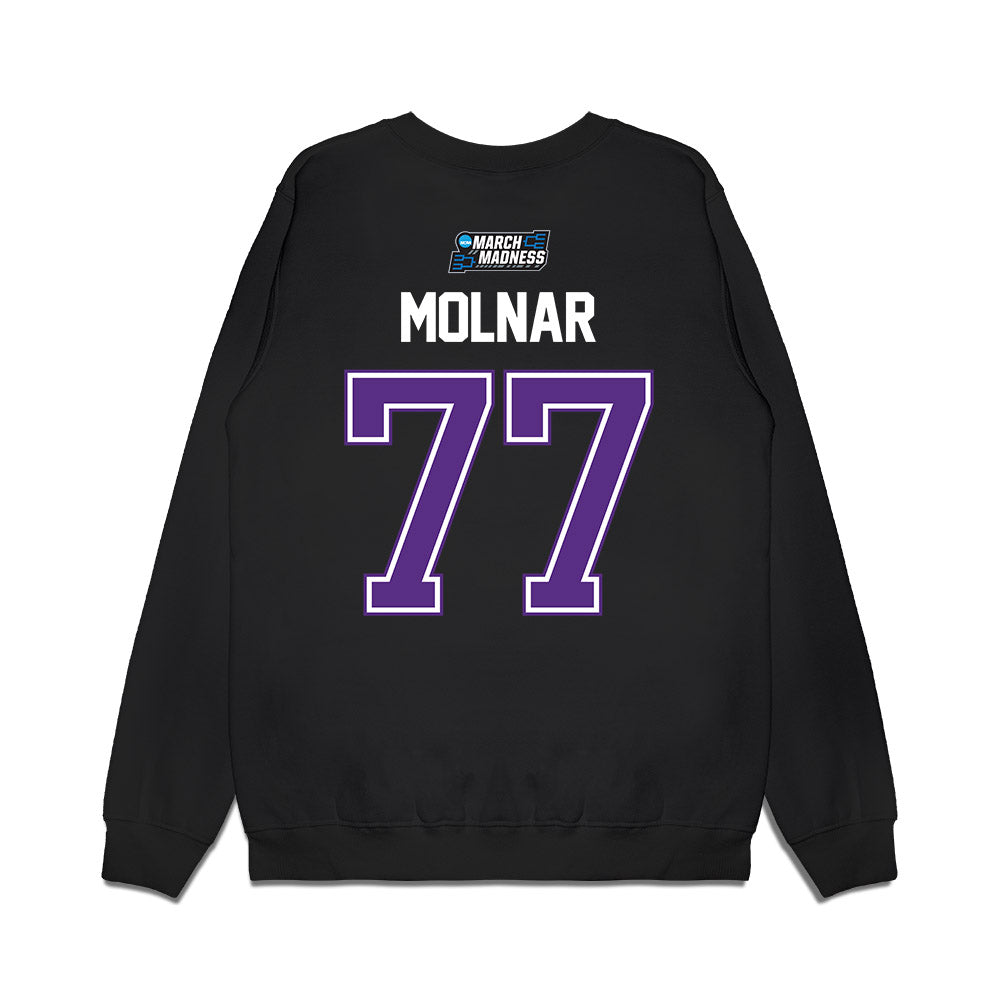 Furman - NCAA Men's Basketball : Davis Molnar - NCAA® March Madness® 2026 Premium Crewneck Sweatshirt-1