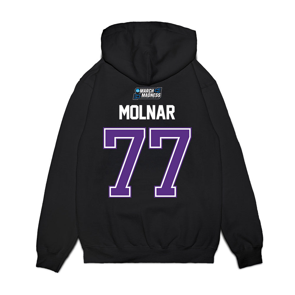 Furman - NCAA Men's Basketball : Davis Molnar - NCAA® March Madness® 2026 Premium Hooded Sweatshirt-1
