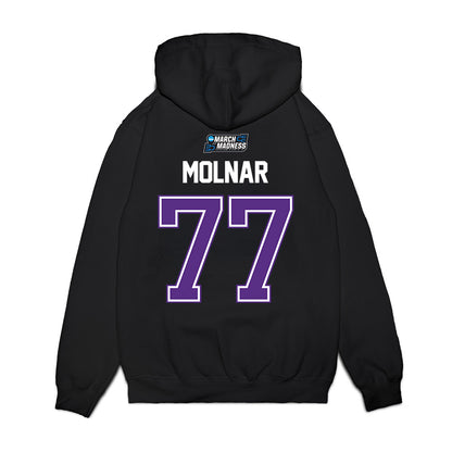 Furman - NCAA Men's Basketball : Davis Molnar - NCAA® March Madness® 2026 Premium Hooded Sweatshirt-1