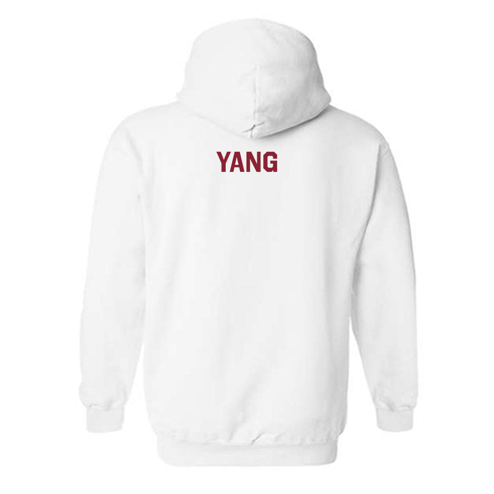 Boston College - NCAA Men's Fencing : Adam Yang - Classic Shersey Hooded Sweatshirt-1