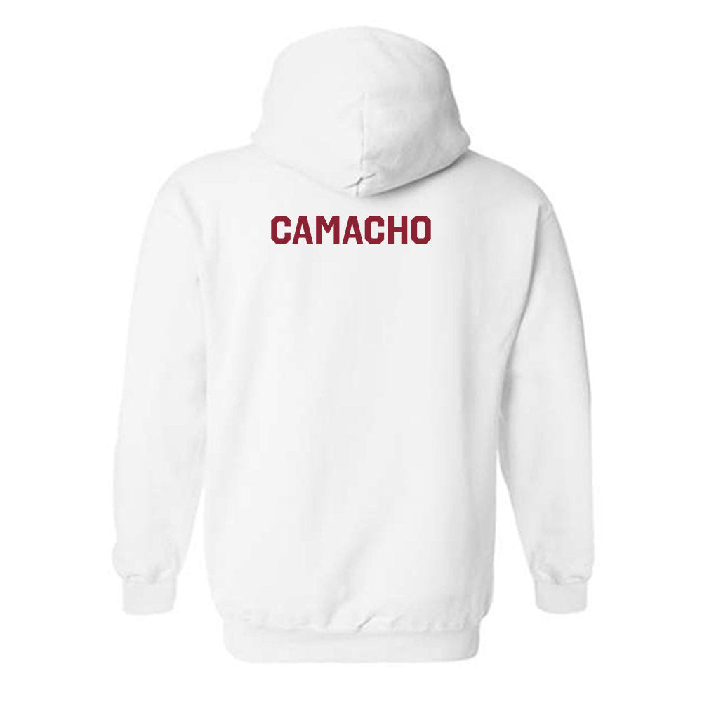 Boston College - NCAA Women's Tennis : Isabella Camacho - Classic Shersey Hooded Sweatshirt-1