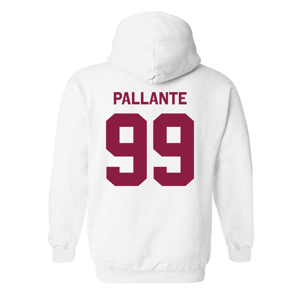 Virginia Tech - NCAA Softball : Lily Pallante - Classic Shersey Hooded Sweatshirt-1