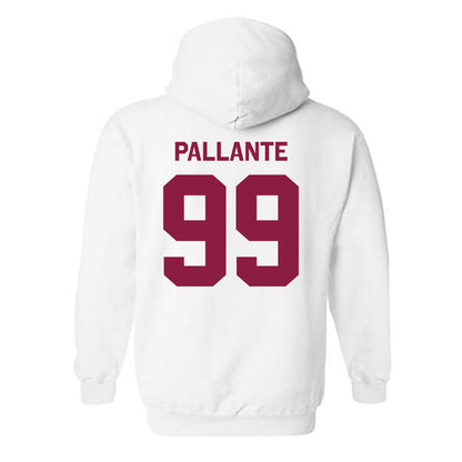 Virginia Tech - NCAA Softball : Lily Pallante - Classic Shersey Hooded Sweatshirt-1