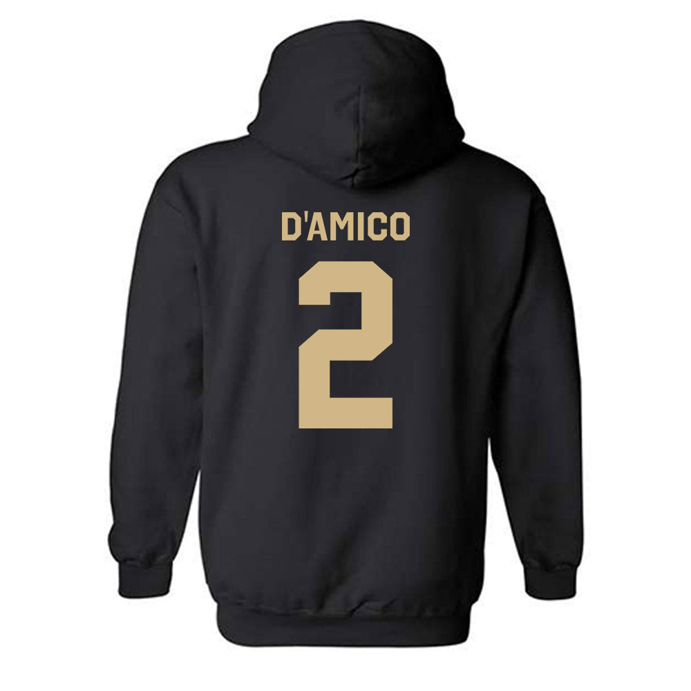 Wake Forest - NCAA Baseball : Logan D'Amico - Classic Shersey Hooded Sweatshirt-3