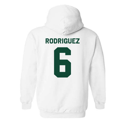 Miami - NCAA Women's Volleyball : Ariana Rodriguez - Classic Shersey Hooded Sweatshirt-1