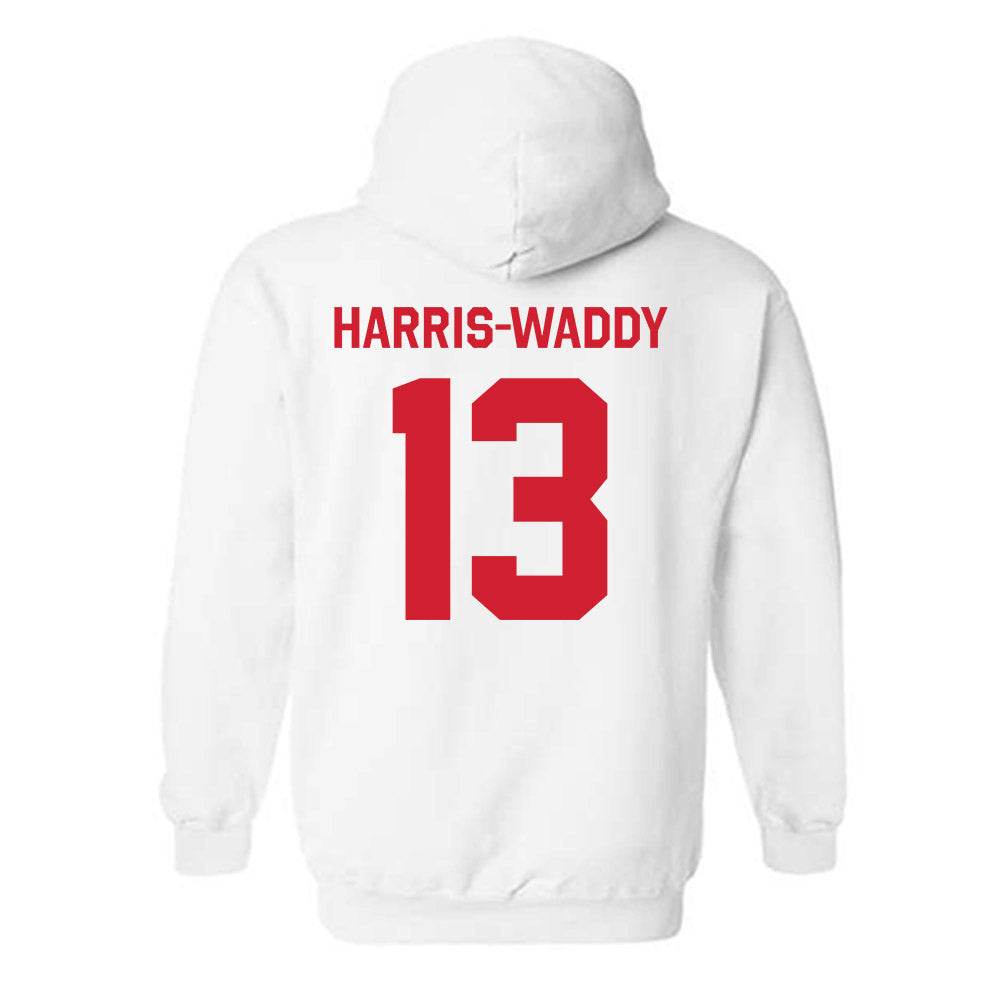 Rutgers - NCAA Women's Volleyball : Zharia Harris-Waddy - Classic Shersey Hooded Sweatshirt-1