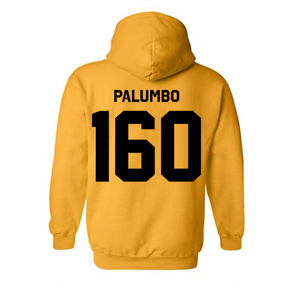 Iowa - NCAA Women's Wrestling : Adriana Palumbo - Classic Shersey Hooded Sweatshirt-1