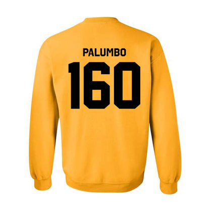 Iowa - NCAA Women's Wrestling : Adriana Palumbo - Classic Shersey Crewneck Sweatshirt-1