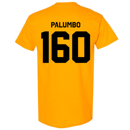 Iowa - NCAA Women's Wrestling : Adriana Palumbo - Classic Shersey T-Shirt-1