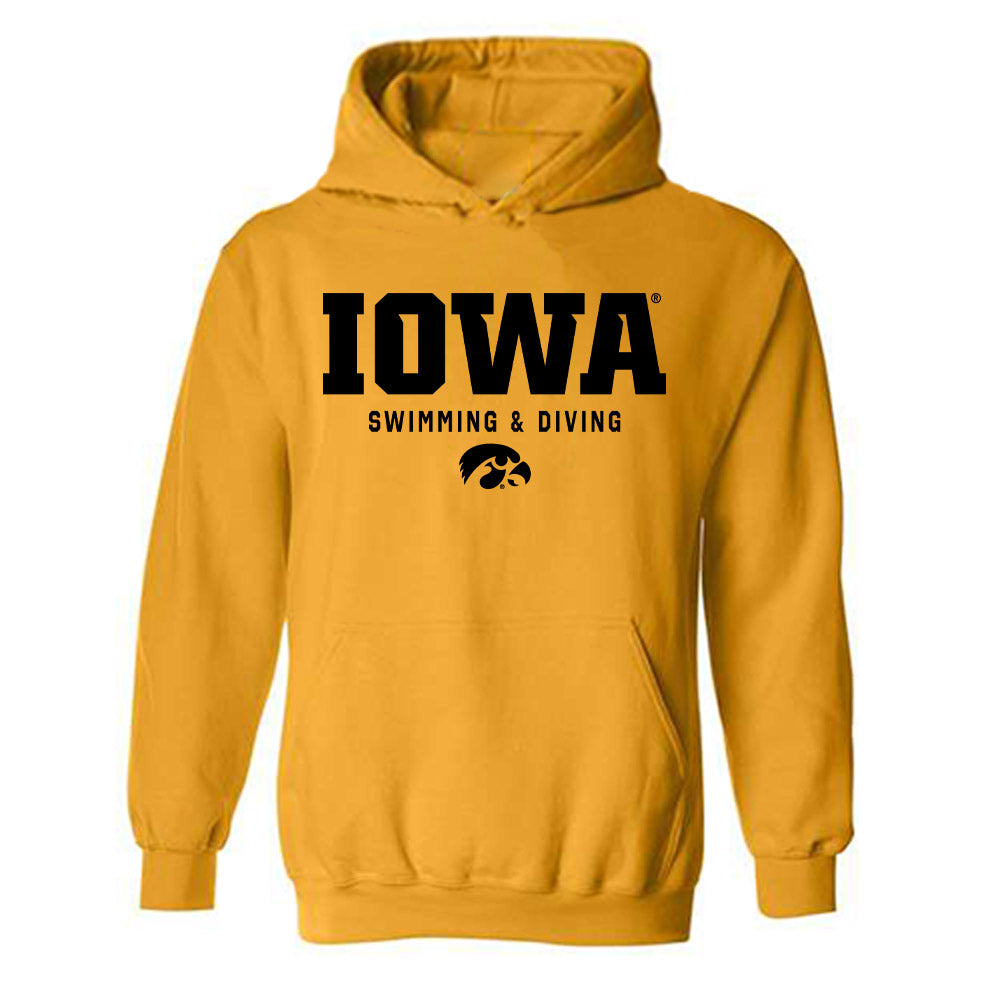 Iowa - NCAA Women's Swimming & Diving : Stephanie Avram - Classic Shersey Hooded Sweatshirt-0
