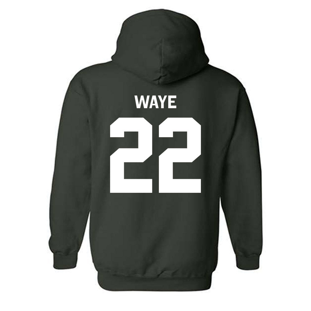 Michigan State - NCAA Women's Volleyball : Carmen Waye - Classic Shersey Hooded Sweatshirt-1