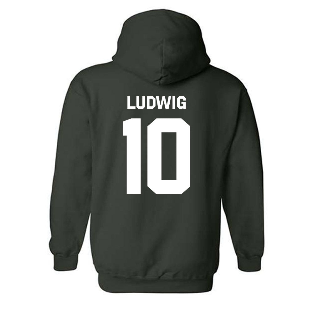 Michigan State - NCAA Men's Soccer : Richie Ludwig - Classic Shersey Hooded Sweatshirt-1