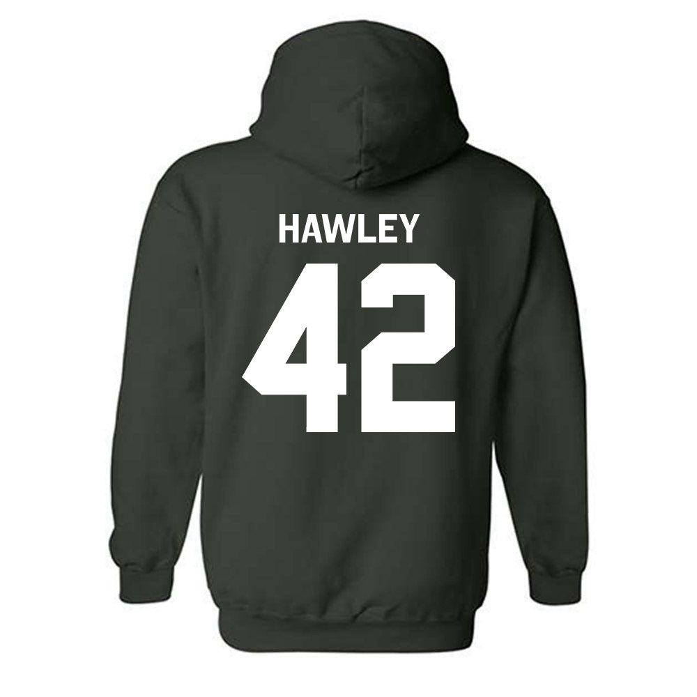 Michigan State - NCAA Softball : Hannah Hawley - Classic Shersey Hooded Sweatshirt-1