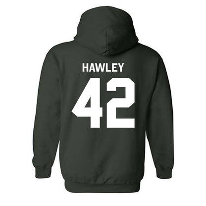 Michigan State - NCAA Softball : Hannah Hawley - Classic Shersey Hooded Sweatshirt-1