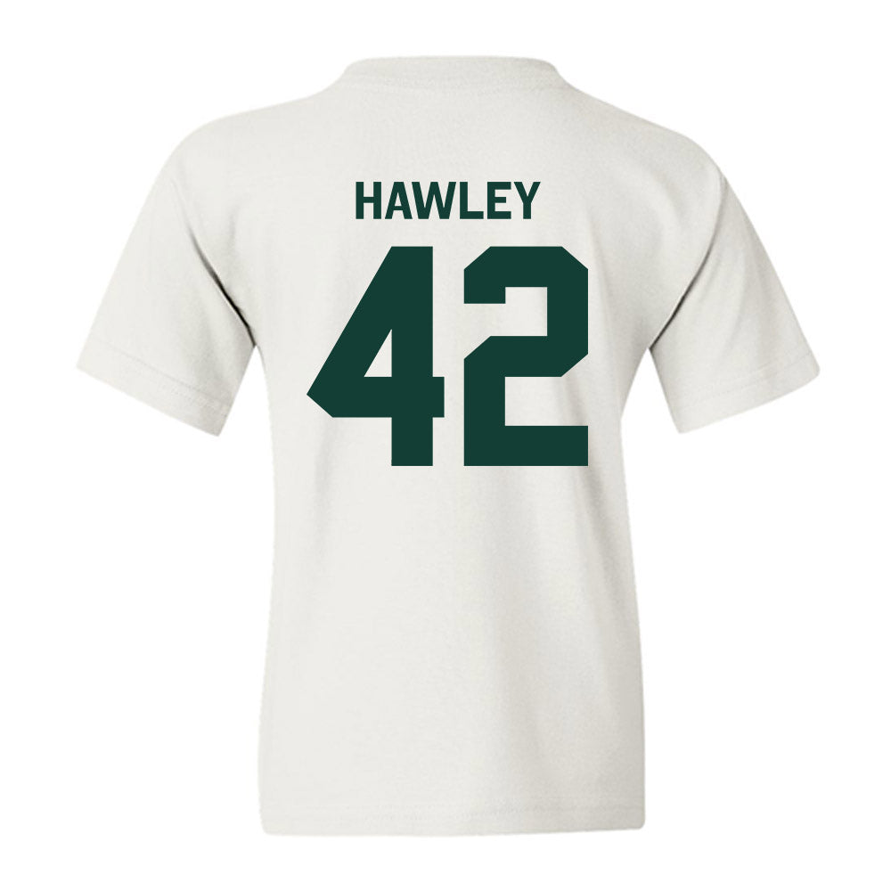 Michigan State - NCAA Softball : Hannah Hawley - Classic Shersey Youth T-Shirt-1