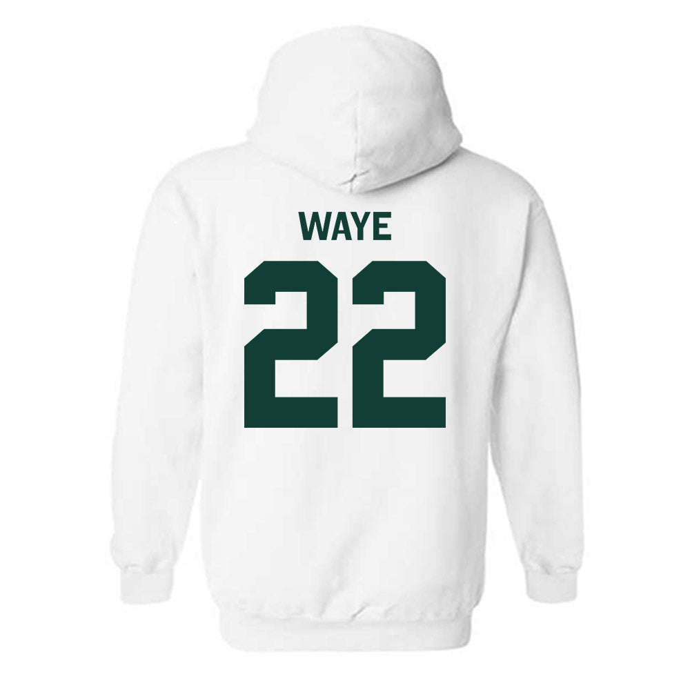 Michigan State - NCAA Women's Volleyball : Carmen Waye - Classic Shersey Hooded Sweatshirt-1