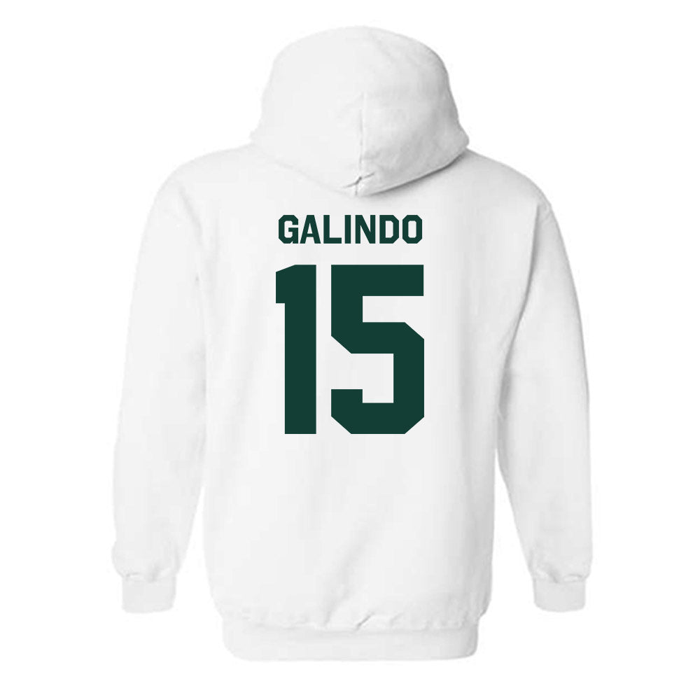 Michigan State - NCAA Softball : Alyssa Galindo - Classic Shersey Hooded Sweatshirt-1