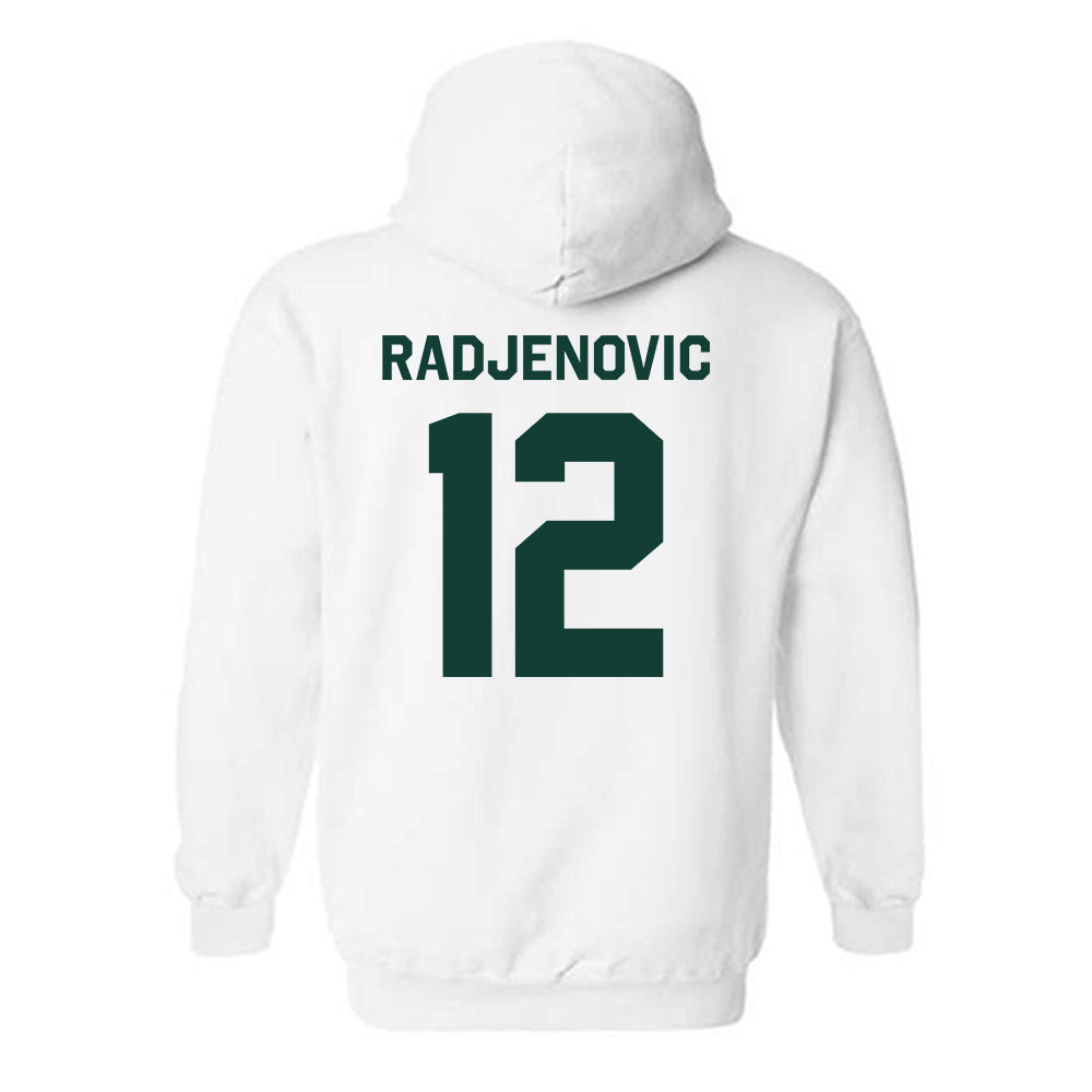 Michigan State - NCAA Men's Tennis : Vuk Radjenovic - Classic Shersey Hooded Sweatshirt-1