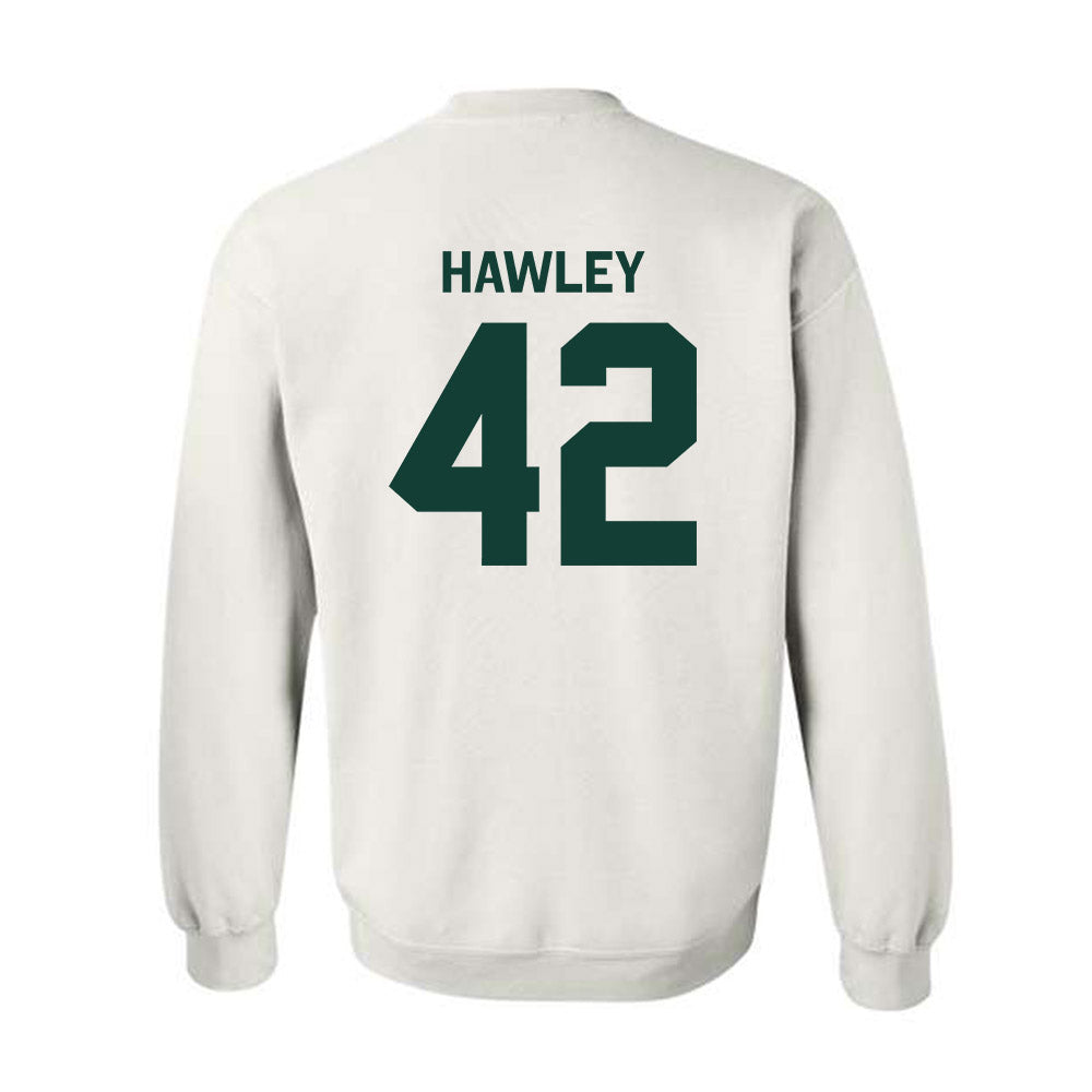 Michigan State - NCAA Softball : Hannah Hawley - Classic Shersey Crewneck Sweatshirt-1