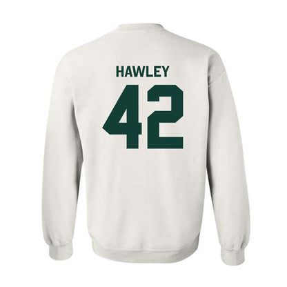 Michigan State - NCAA Softball : Hannah Hawley - Classic Shersey Crewneck Sweatshirt-1