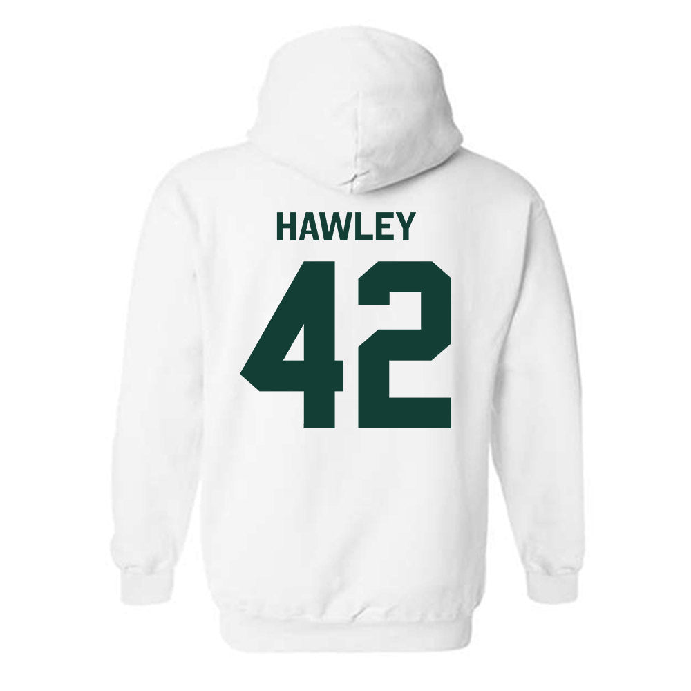 Michigan State - NCAA Softball : Hannah Hawley - Classic Shersey Hooded Sweatshirt-1